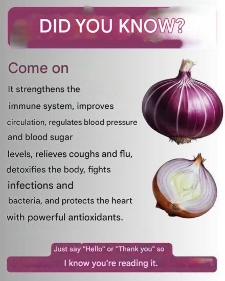 Onion: benefits and properties