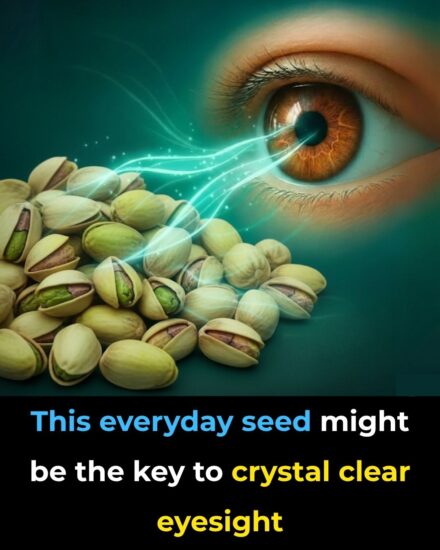 The secret to crystal clear eyesight