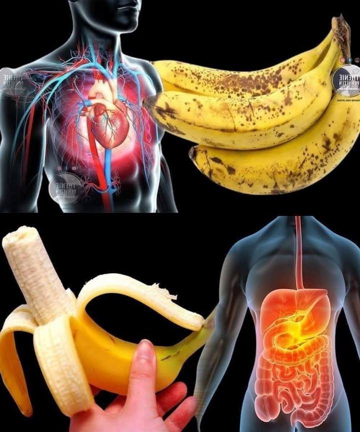 The Surprising Truth About Bananas: Nature’s Mood-Boosting Superfruit (And So Much More)