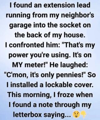 Last week, I went out into my backyard hoping for a quiet moment—and immediately noticed something odd.