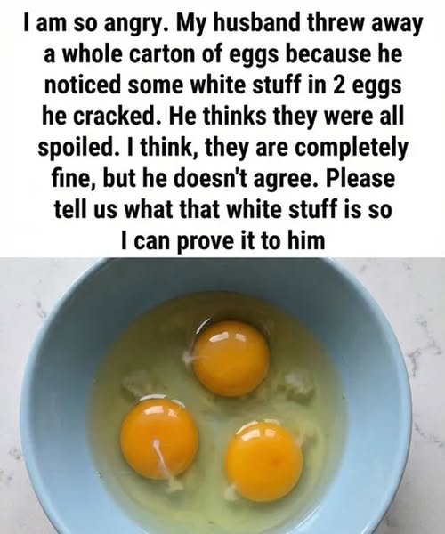 What Is That White Strand in Eggs? (It’s Not What You Think!)