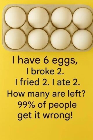The 6-Egg Riddle — Answer Revealed