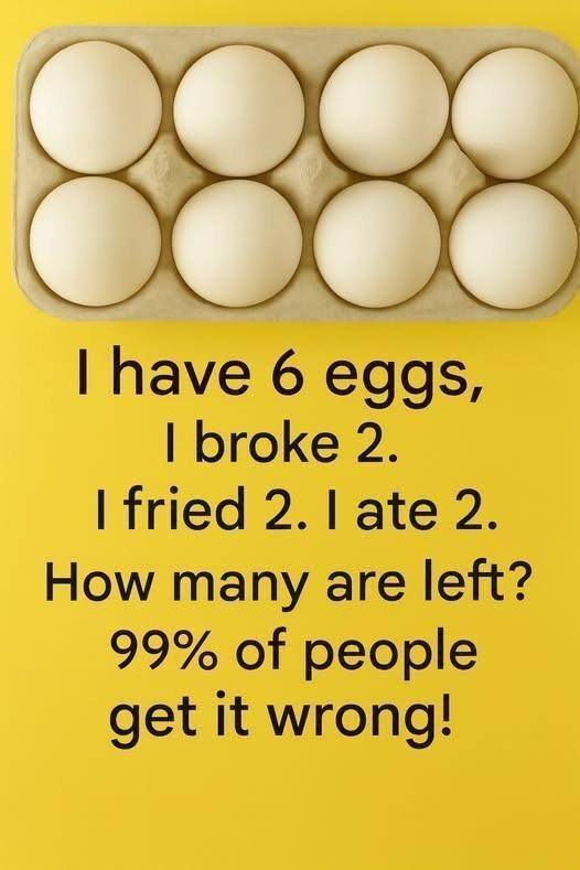 The 6-Egg Riddle — Answer Revealed