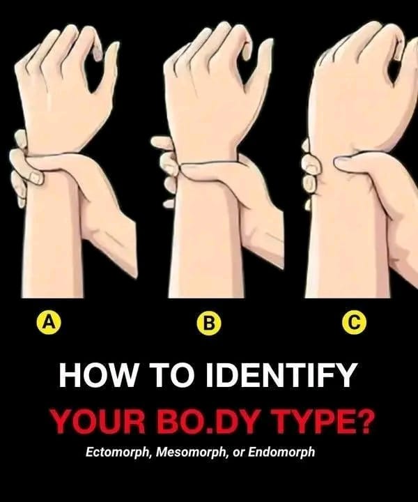 Bo.dy Types: Are You Ectomorph, Mesomorph, or Endomorph?
