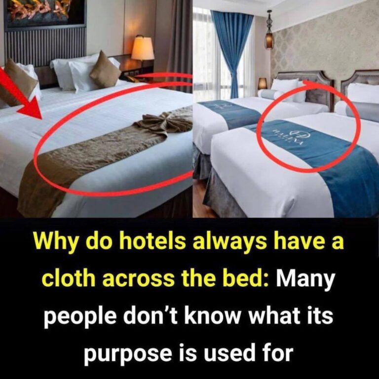 Why Hotels Always Have a Cloth Across the Bed — You’ll Be Surprised