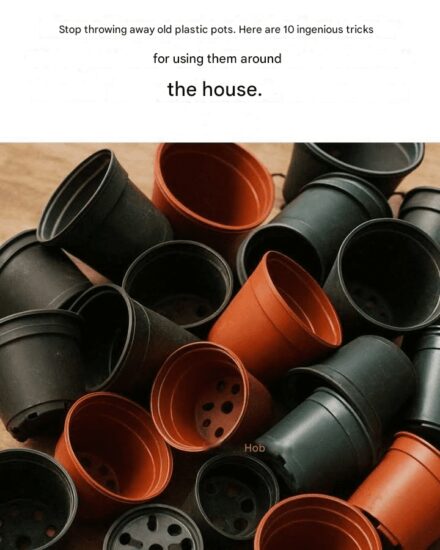 Stop throwing away old plastic pots. Here are 10 ingenious ways to use them around the house.