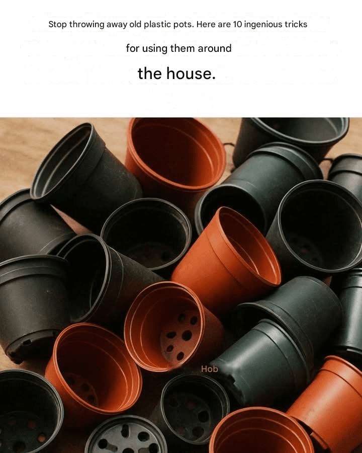 Stop throwing away old plastic pots. Here are 10 ingenious ways to use them around the house.