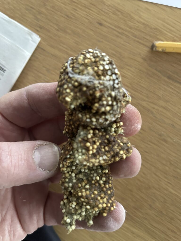 Most Nostalgic Moment of My Week