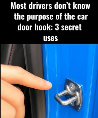 The hook on the car door