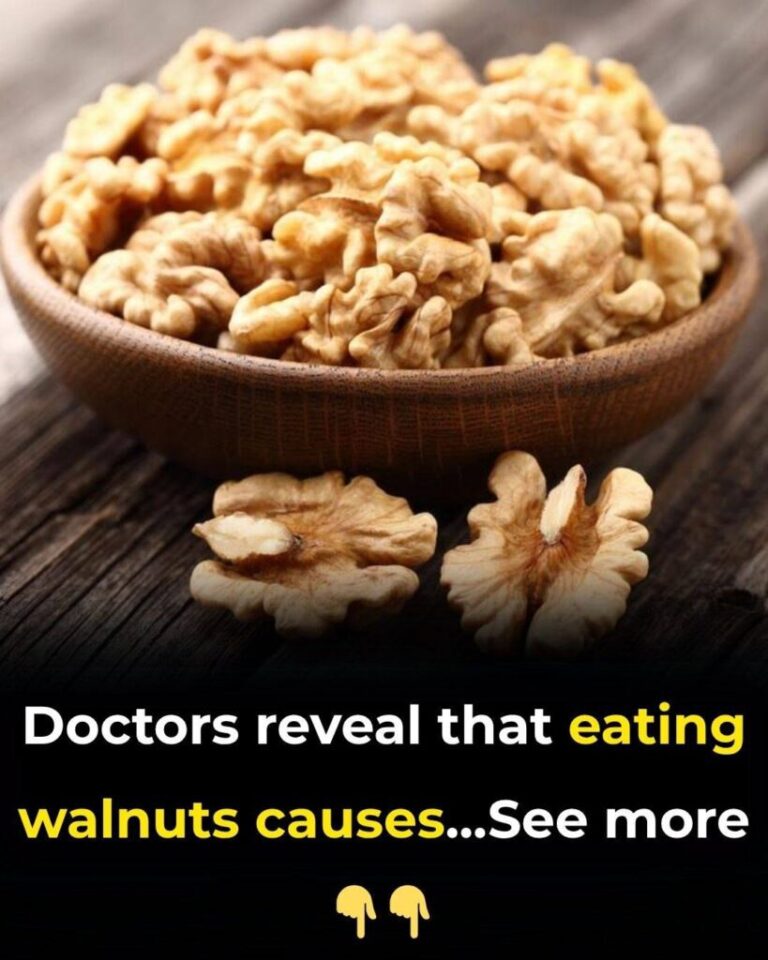 Doctors Reveal That Eating Walnuts Causes Remarkable Changes in the Brain and Body