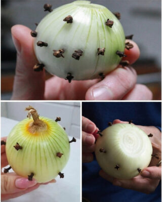 Why does this duo work so well? This marriage is not a coincidence.  Onions naturally contain aromatic compounds that are gradually released when cooked. It provides a round and slightly sweet base.  Cloves, on the other hand, are rich in eugenol, the molecule responsible for their intense and spicy fragrance. Very concentrated, he could quickly become dominant. Inserted into the onion, it diffuses more gently.  The result: a controlled balance, neither too strong nor too discreet.  A natural air freshener for the home What is less well known is that this trick goes beyond the culinary context.  In the past, in some country homes, an onion with cloves was placed in the kitchen or pantry to reduce lingering odours.