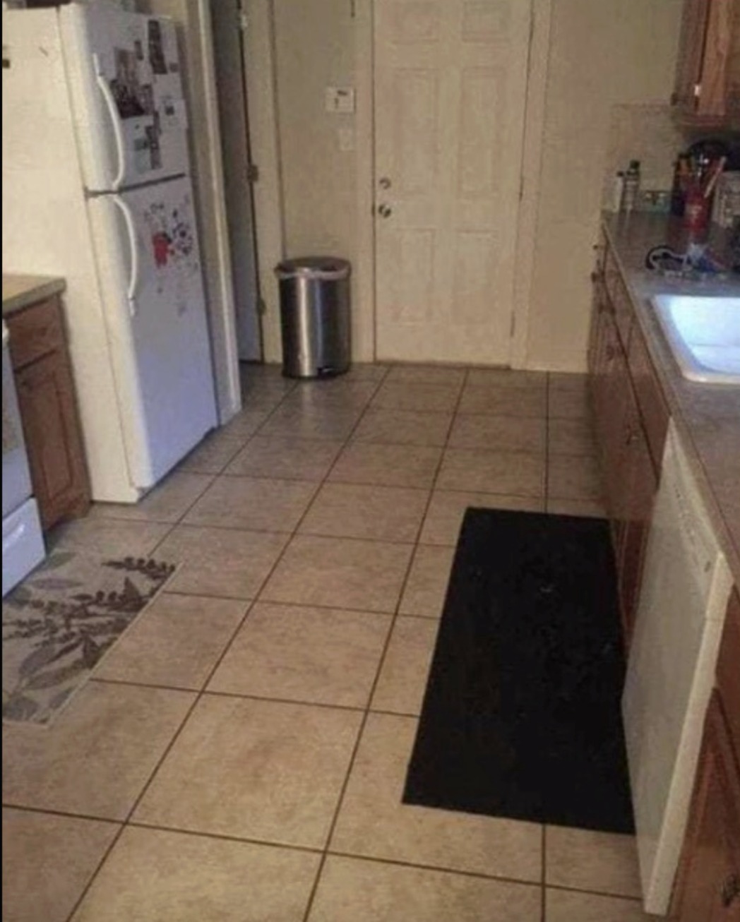 Can you find the large dog hiding in this kitchen?