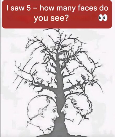 Only a few people manage to spot all the faces hidden in this tree — are you one of them?