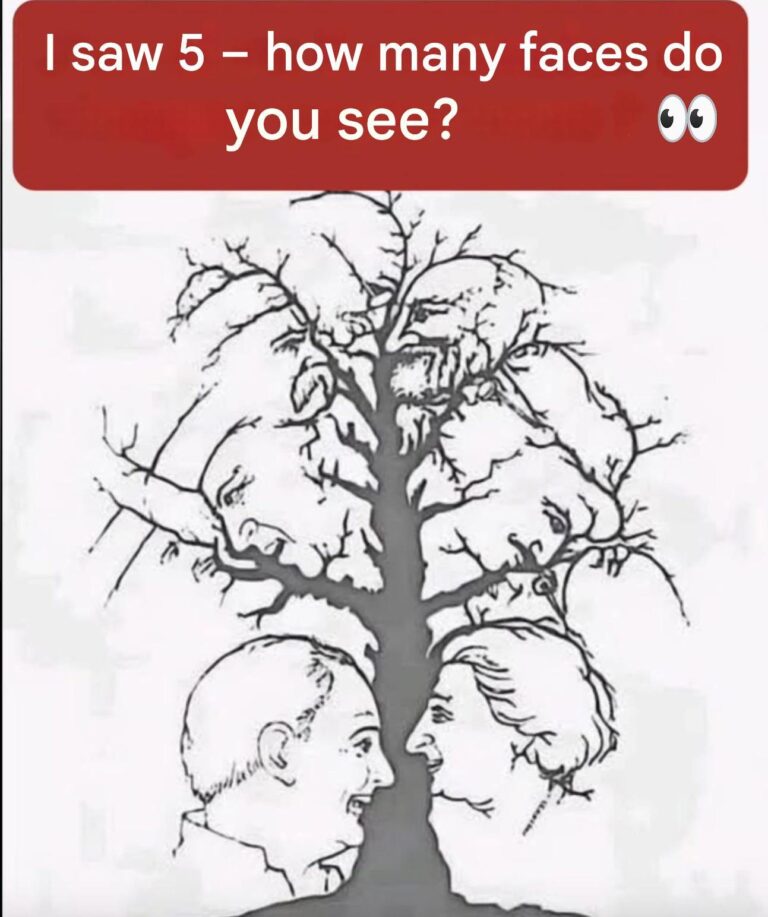 Only a few people manage to spot all the faces hidden in this tree — are you one of them?
