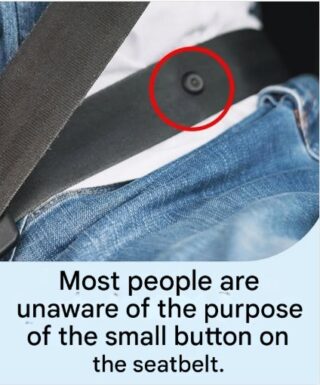 What is the seat belt button used for?