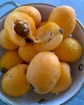 After Years of Curiosity, I Learned the Name of This Unfamiliar Fruit