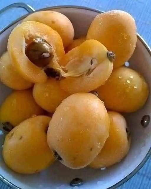 After Years of Curiosity, I Learned the Name of This Unfamiliar Fruit