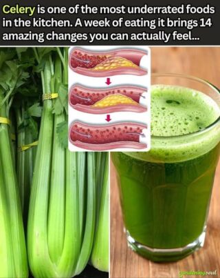 When You Eat Celery Every Day for a Week, Your Body Might Get These 14 Health Benefits