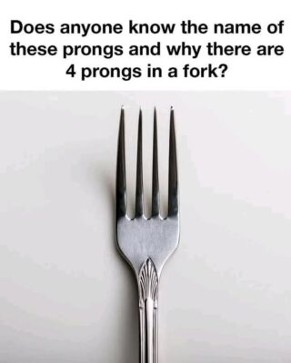 Why Do Forks Have Four Prongs