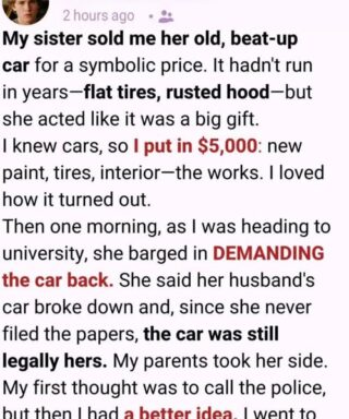 My sister gave me her “junk” car, but after I spent $5,000 restoring it, she demanded it back. She never expected my 10-minute “undo” response.
