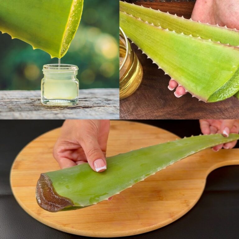 1000 times more effective than Botox! Natural collagen with aloe vera! Eliminates all wrinkles.