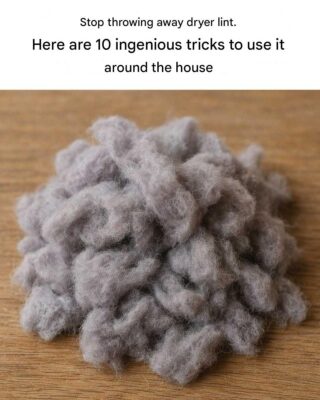 Stop throwing away dryer lint! Here are 10 ingenious tips for using it around the house.
