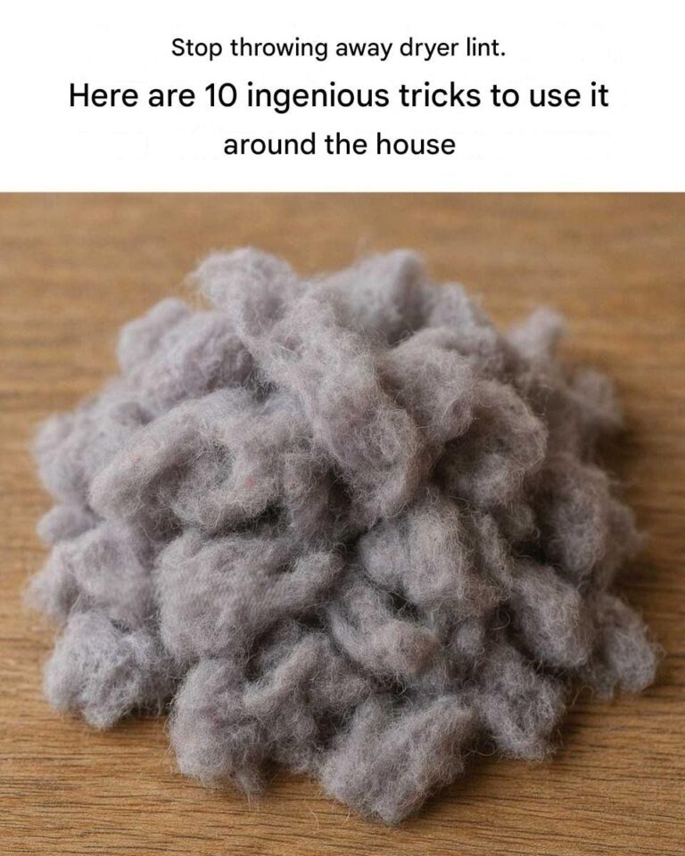 Stop throwing away dryer lint! Here are 10 ingenious tips for using it around the house.