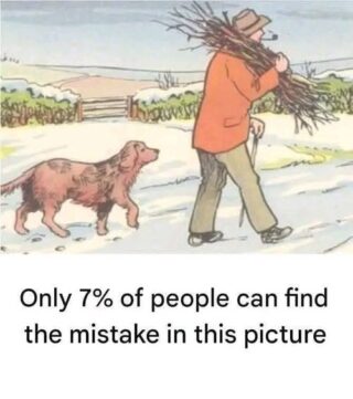 Can You Spot the Mistake in This Snowy Scene