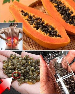 Recipes with Papaya Seeds: Benefits, Uses, and Natural Preparation