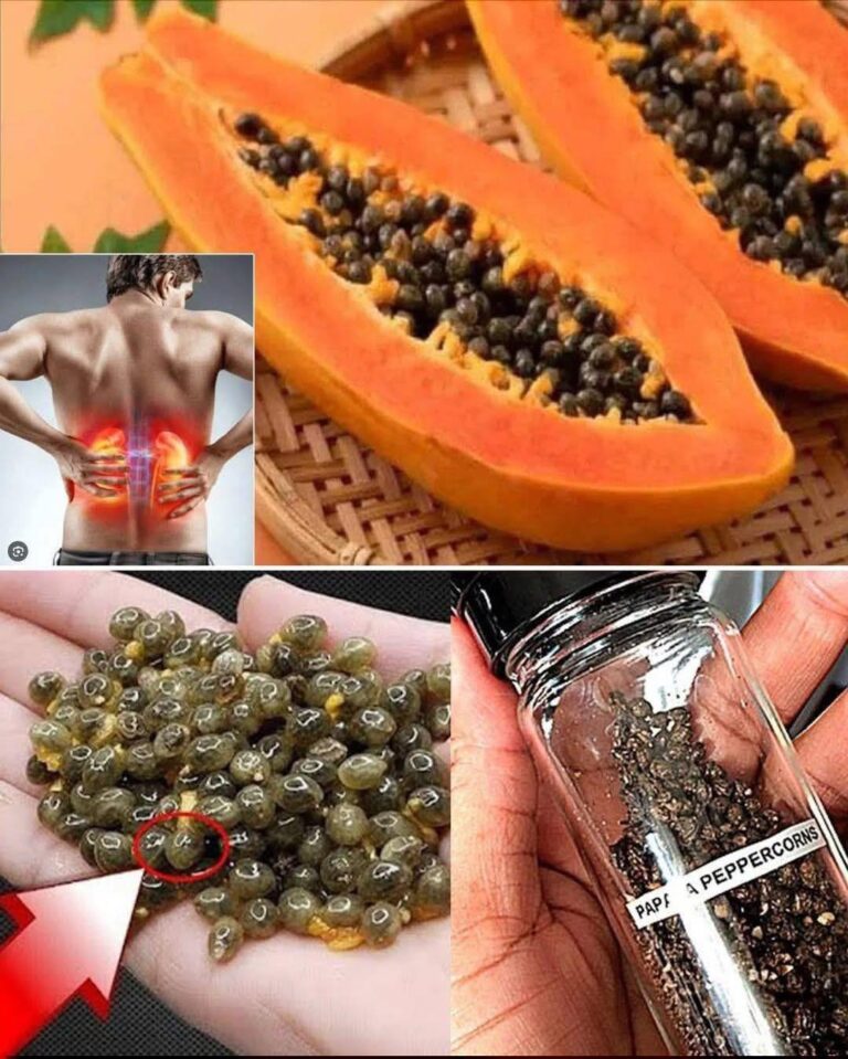 Recipes with Papaya Seeds: Benefits, Uses, and Natural Preparation