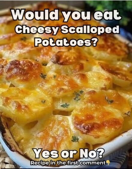 SCALLOPED POTATOES